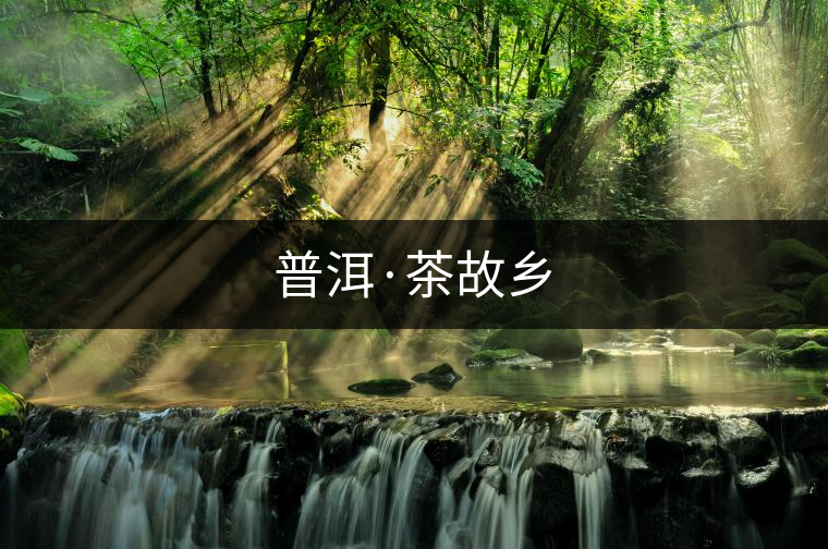 普洱·茶故鄉
