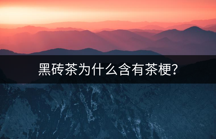 黑磚茶為什么含有茶梗？