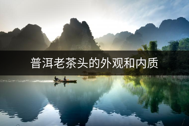 普洱老茶頭的外觀和內質 普洱老茶頭的外觀和內質