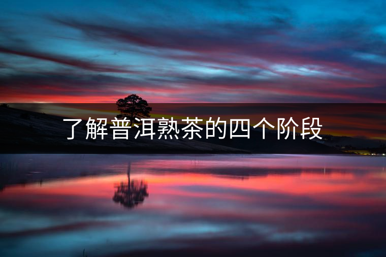 了解普洱熟茶的四個階段 了解普洱熟茶的四個階段