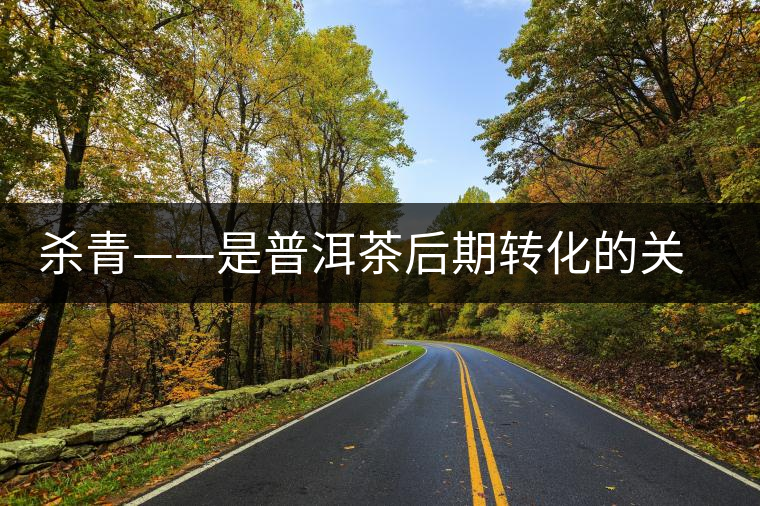 殺青——是普洱茶后期轉化的關鍵