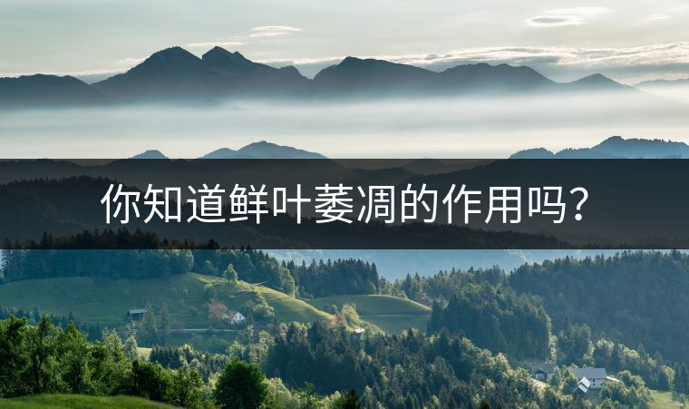 你知道鮮葉萎凋的作用嗎? 你知道鮮葉萎凋的作用嗎?