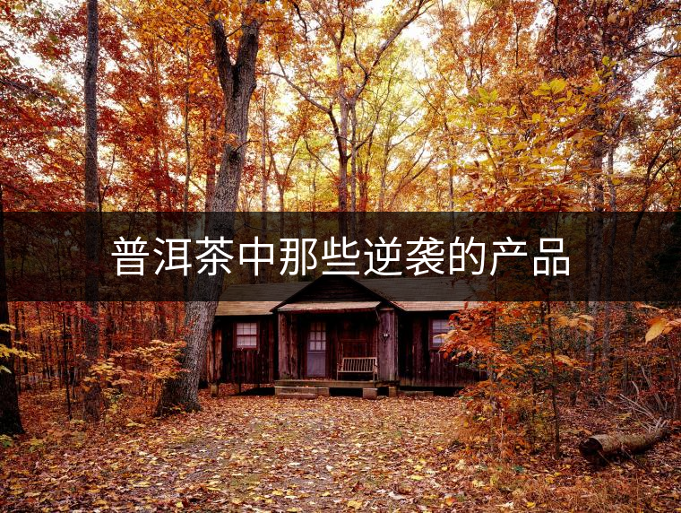 普洱茶中那些逆襲的產品 普洱茶中那些逆襲的產品