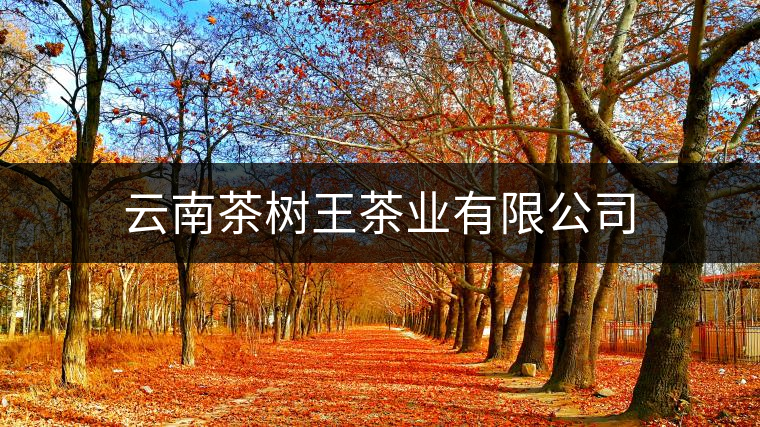 云南茶樹王茶業有限公司 云南茶樹王茶業有限公司
