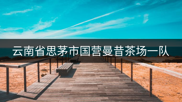 云南省思茅市國營曼昔茶場一隊 云南省思茅市國營曼昔茶場一隊