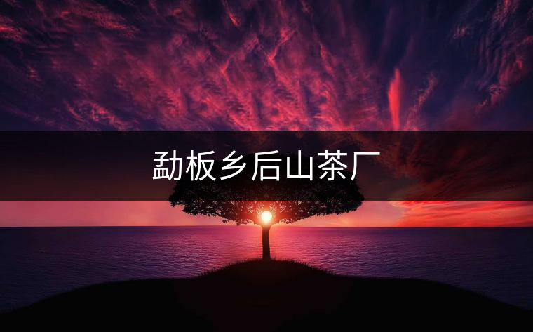 勐板鄉后山茶廠 勐板鄉后山茶廠