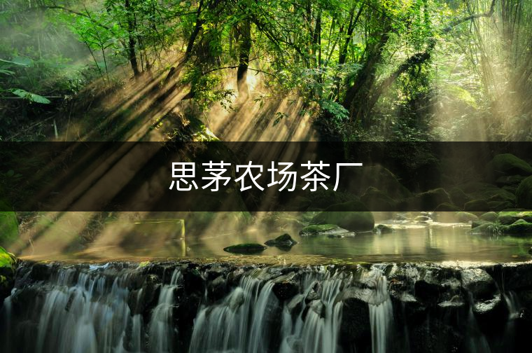 思茅農場茶廠 思茅農場茶廠