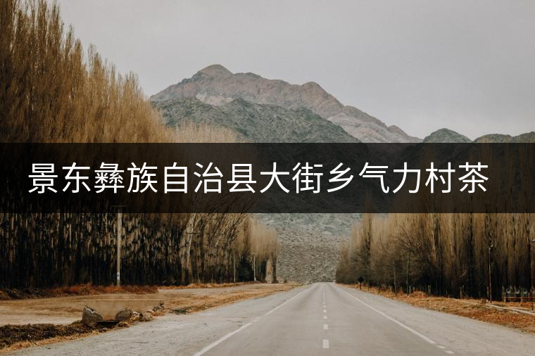 景東彝族自治縣大街鄉氣力村茶廠 景東彝族自治縣大街鄉氣力村茶廠