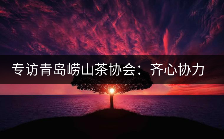 專訪青島嶗山茶協會：齊心協力共謀茶壇盛事