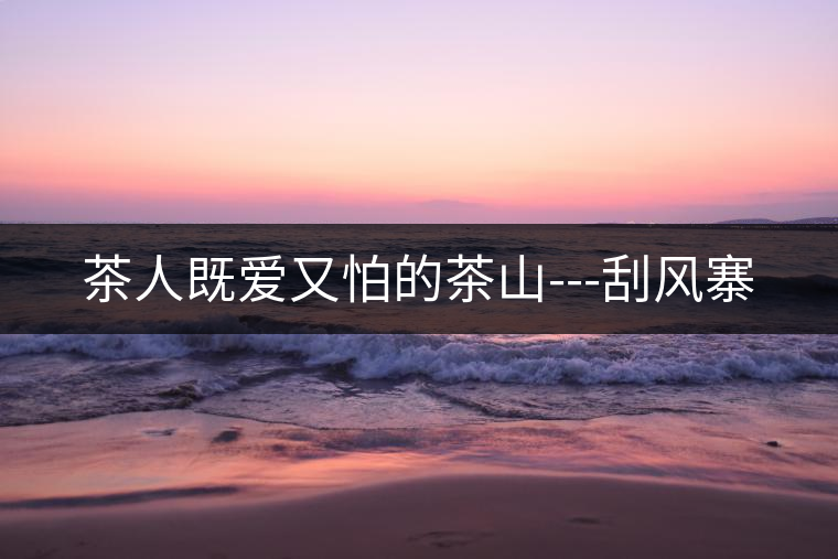 茶人既愛又怕的茶山---刮風寨 茶人既愛又怕的茶山---刮風寨