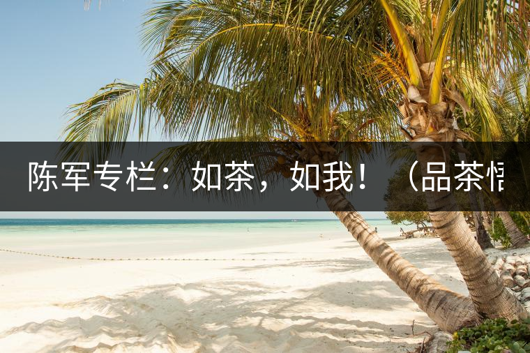 陳軍專欄：如茶，如我！（品茶悟道）