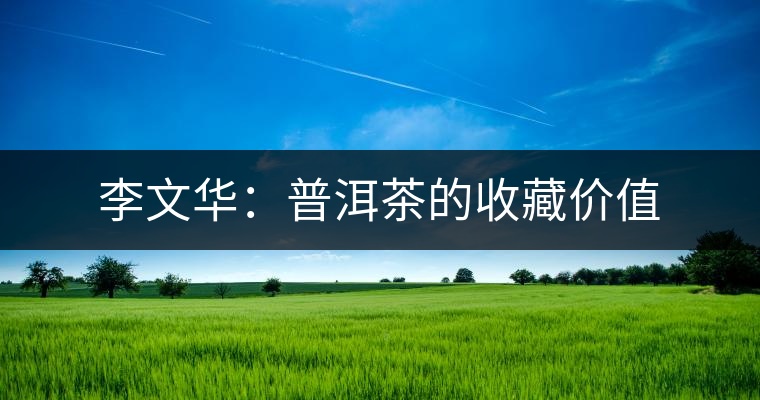 李文華：普洱茶的收藏價值