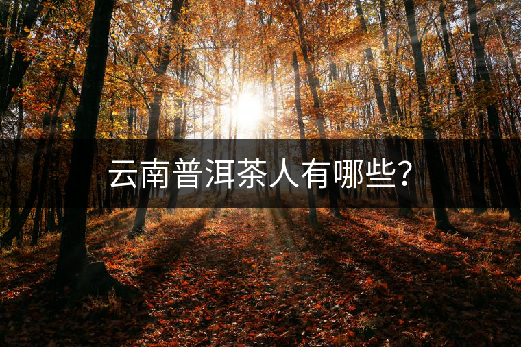 云南普洱茶人有哪些? 云南普洱茶人有哪些?