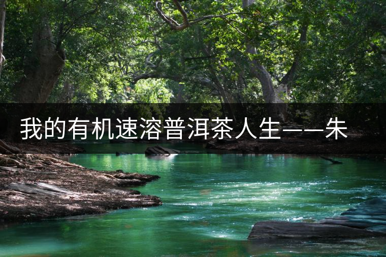 我的有機速溶普洱茶人生——朱向東 我的有機速溶普洱茶人生——朱向東