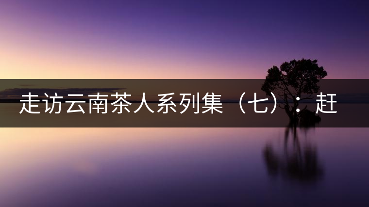 走訪云南茶人系列集(七):趕騾趕馬上茶山——杜春嶧 走訪云南茶人系列集(七):趕騾趕馬上茶山——杜春嶧