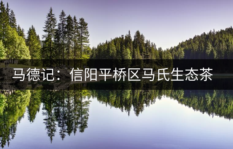 馬德記：信陽平橋區馬氏生態茶葉合作社負責人