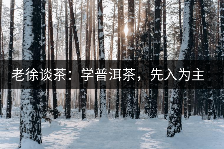 老徐談茶:學普洱茶,先入為主易被打臉,還得實踐出真知! 老徐談茶:學普洱茶,先入為主易被打臉,還得實踐出真知!