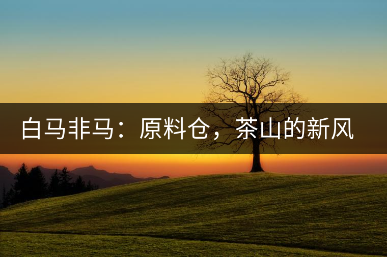 白馬非馬：原料倉，茶山的新風景