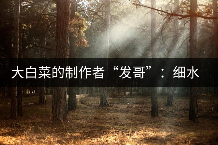 大白菜的制作者“發哥”:細水長流,做茶“急不得” 大白菜的制作者“發哥”:細水長流,做茶“急不得”