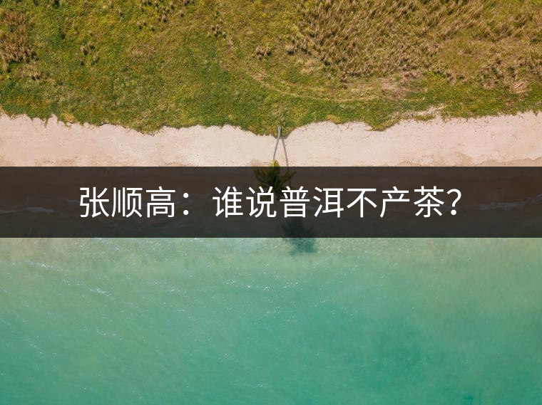 張順高:誰說普洱不產茶? 張順高:誰說普洱不產茶?