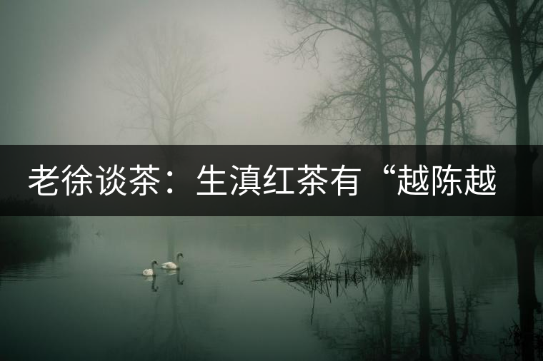 老徐談茶：生滇紅茶有“越陳越香”的特點嗎？