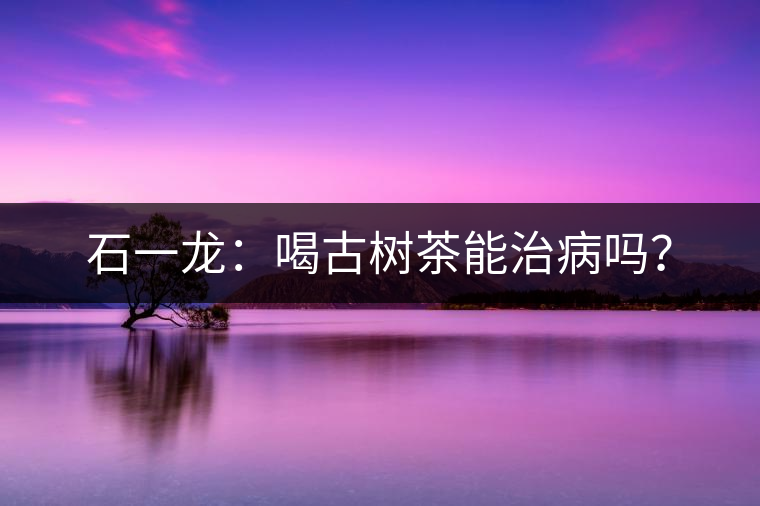 石一龍:喝古樹茶能治病嗎? 石一龍:喝古樹茶能治病嗎?