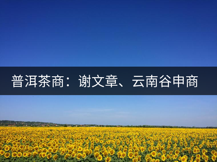 普洱茶商:謝文章、云南谷申商貿有限公司總經理 普洱茶商:謝文章、云南谷申商貿有限公司總經理