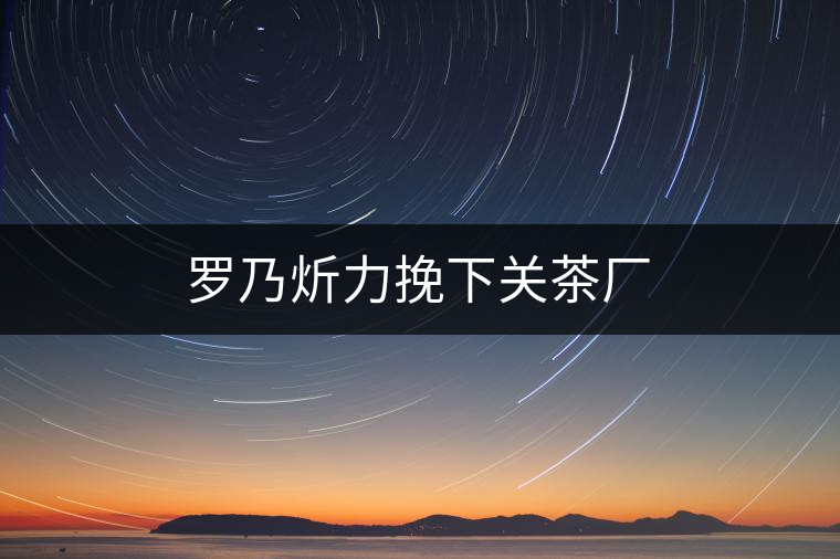 羅乃炘力挽下關茶廠 羅乃炘力挽下關茶廠