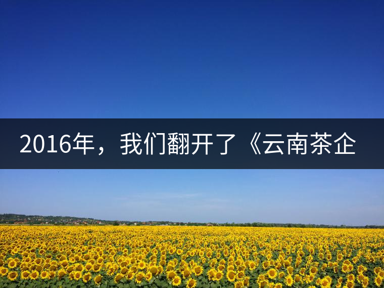 2016年，我們翻開了《云南茶企發展白皮書》