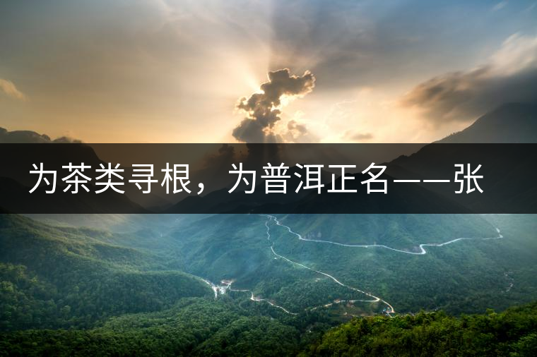 為茶類尋根，為普洱正名——張宏達的普洱茶研究