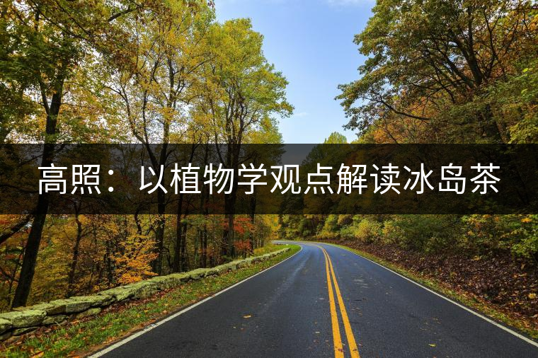 高照:以植物學觀點解讀冰島茶 高照:以植物學觀點解讀冰島茶