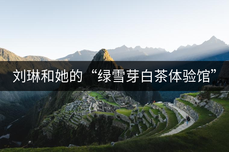 劉琳和她的“綠雪芽白茶體驗館” 劉琳和她的“綠雪芽白茶體驗館”