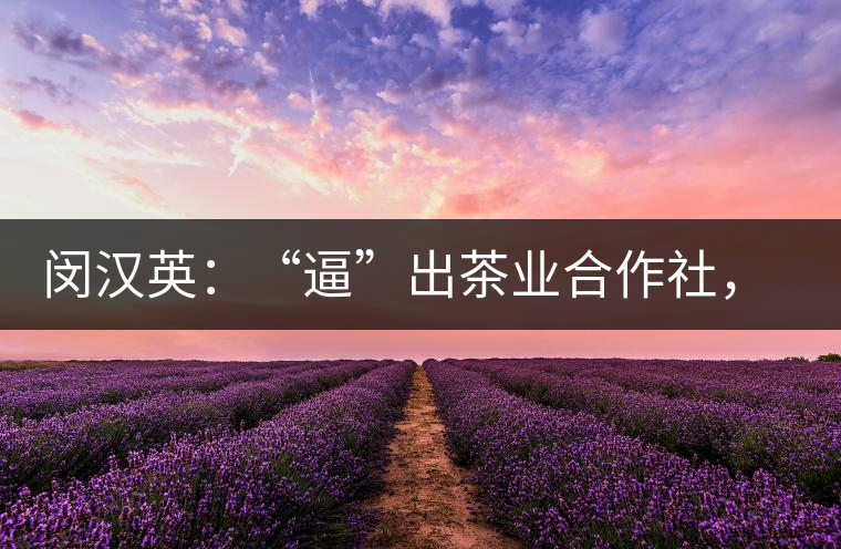 閔漢英：“逼”出茶業合作社，帶領村民走上致富路