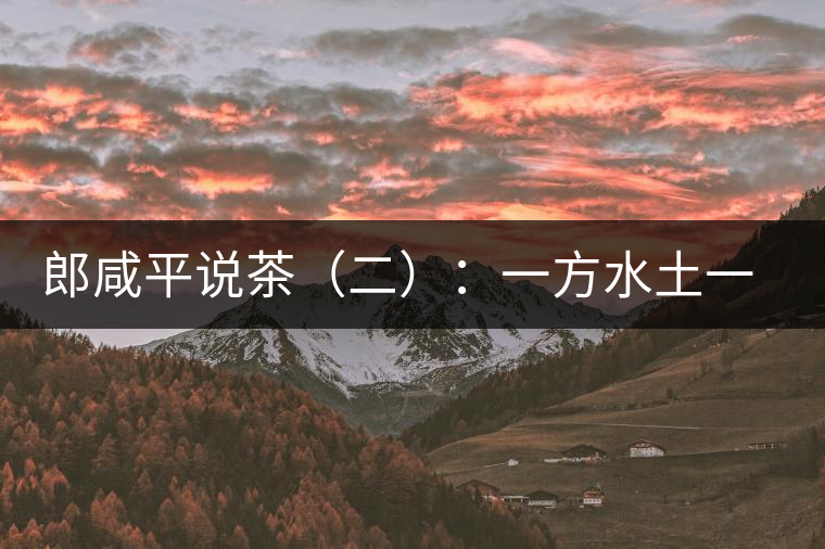郎咸平說(shuō)茶（二）：一方水土一方人