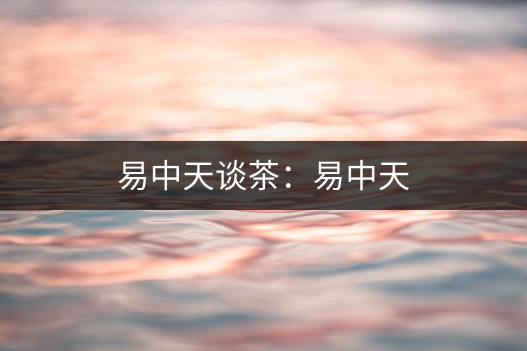 易中天談茶:易中天 易中天談茶:易中天