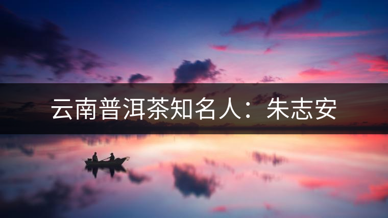 云南普洱茶知名人:朱志安 云南普洱茶知名人:朱志安