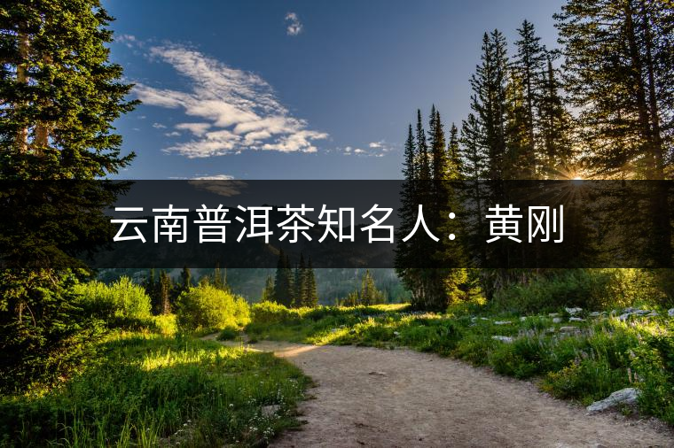 云南普洱茶知名人:黃剛 云南普洱茶知名人:黃剛