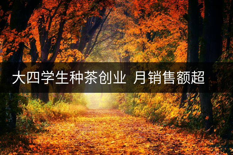 大四學生種茶創業  月銷售額超五十萬