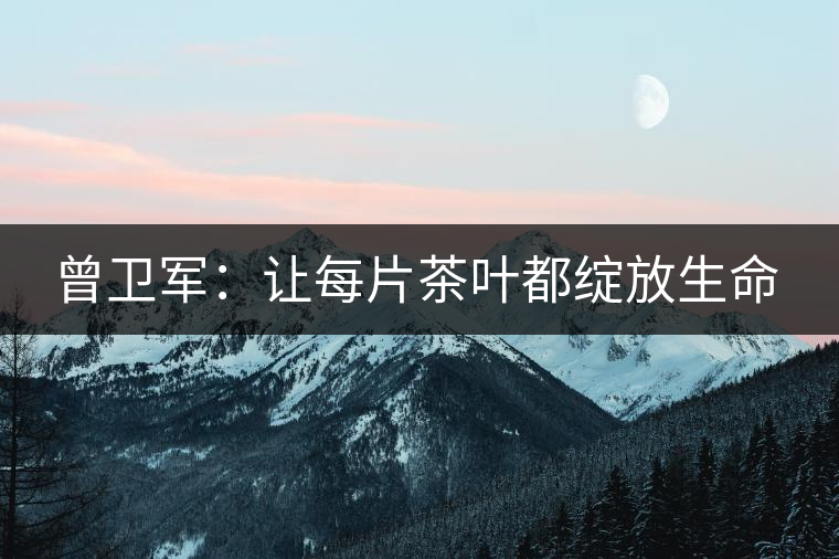 曾衛軍：讓每片茶葉都綻放生命