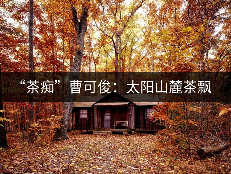 “茶癡”曹可俊:太陽山麓茶飄香,清明時節(jié)采茶忙 “茶癡”曹可俊:太陽山麓茶飄香,清明時節(jié)采茶忙