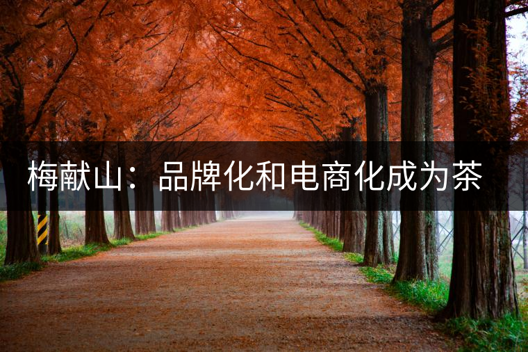 梅獻山：品牌化和電商化成為茶產業的第三個轉機