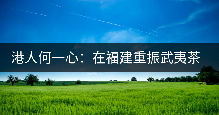港人何一心：在福建重振武夷茶 創武夷星茶品牌