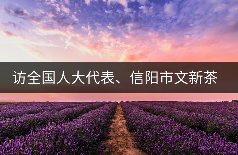訪全國人大代表、信陽市文新茶葉有限責任公司董事長劉文新