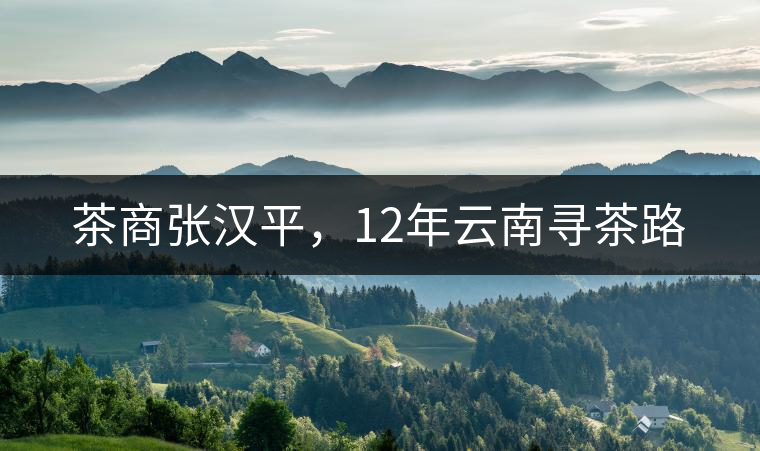 茶商張漢平,12年云南尋茶路 茶商張漢平,12年云南尋茶路