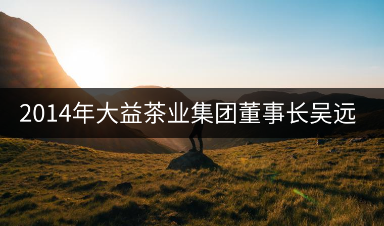 2014年大益茶業集團董事長吳遠之訪談