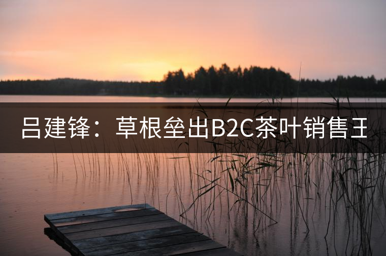 呂建鋒：草根壘出B2C茶葉銷售王國51普洱網