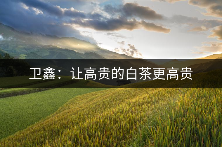 衛鑫:讓高貴的白茶更高貴 衛鑫:讓高貴的白茶更高貴