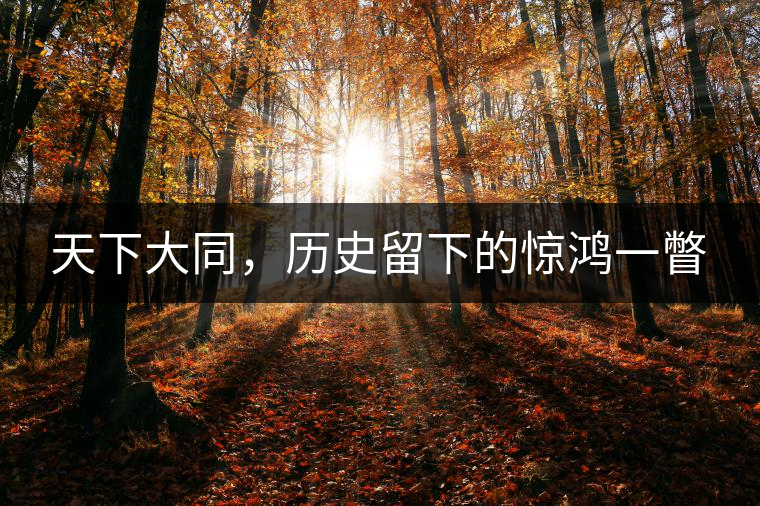 天下大同,歷史留下的驚鴻一瞥 天下大同,歷史留下的驚鴻一瞥