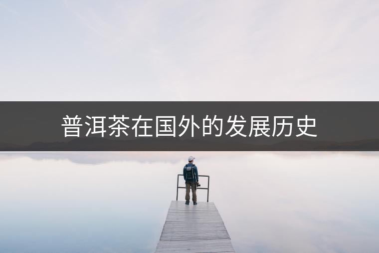 普洱茶在國外的發展歷史 普洱茶在國外的發展歷史
