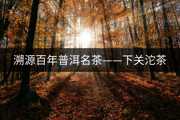 溯源百年普洱名茶——下關(guān)沱茶 溯源百年普洱名茶——下關(guān)沱茶
